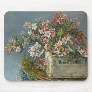 Tapis De Souris Roses alpins dans une boîte à fenêtre - Andreas La