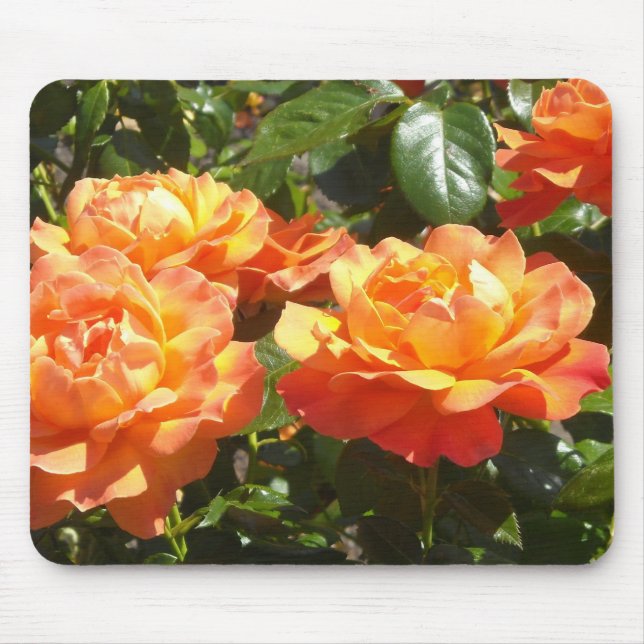 Tapis De Souris Roses d'abricot élégantes (Devant)