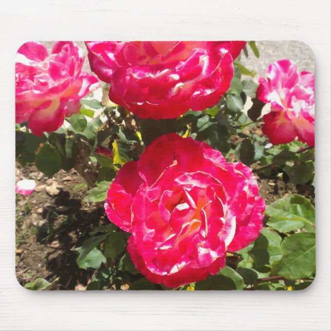 Tapis De Souris Roses du jardin rouge (Devant)