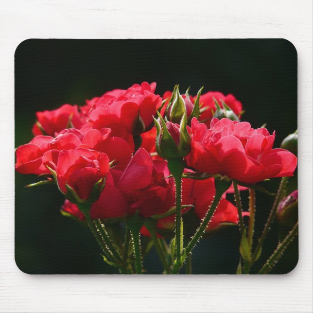 Tapis De Souris Roses rouges (Devant)