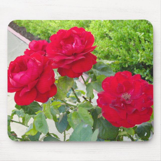Tapis De Souris Roses rouges (Devant)