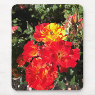 Tapis De Souris Roses rouges et jaunes, Portland, Oregon