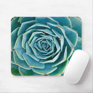 Tapis De Souris Rosette d'Echeveria, Jardin Secret de Marrakech