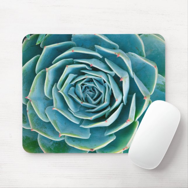 Tapis De Souris Rosette d'Echeveria, Jardin Secret de Marrakech (Avec souris)