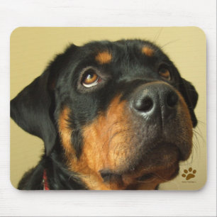 Tapis De Souris Rottweiler