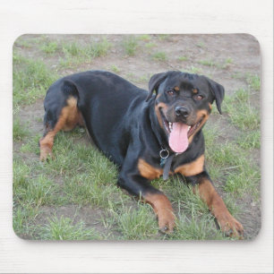 Tapis De Souris Rottweiler