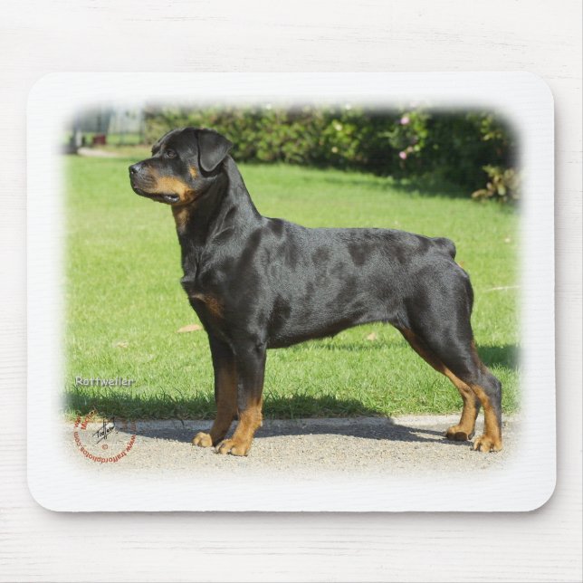 Tapis De Souris Rottweiler (Devant)