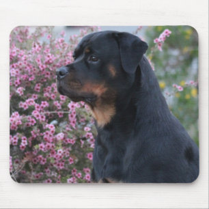 Tapis De Souris Rottweiler