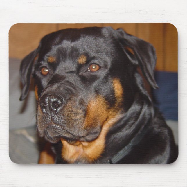 Tapis De Souris Rottweiler allemand (Devant)