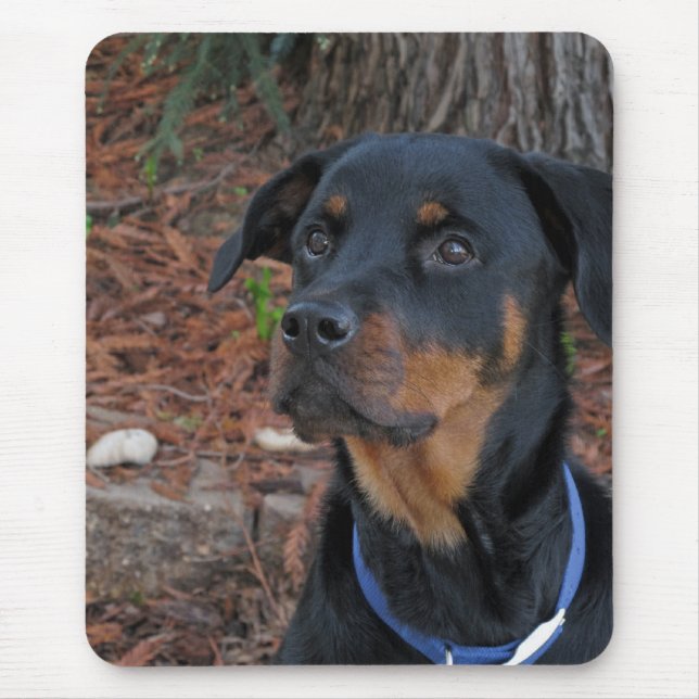 Tapis De Souris Rottweiler par Redwood Tree Souse Pad (Devant)