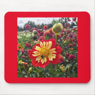 Tapis De Souris Roues Dahlia