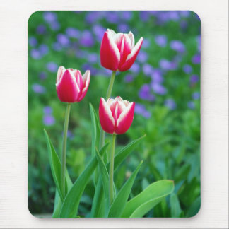 Tapis de souris rouge de tulipes