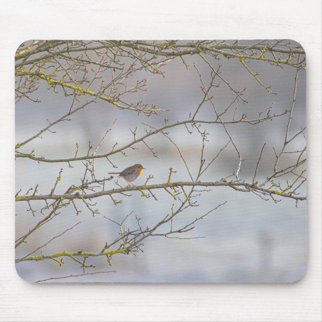 Tapis de souris rouge-gorge (Devant)