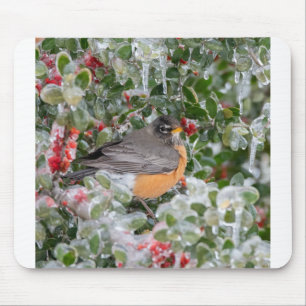 Tapis De Souris Rouge-gorge à Noël