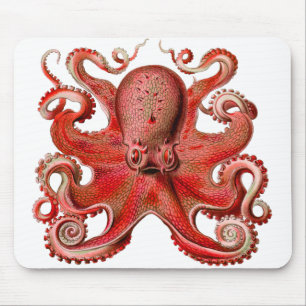 Tapis De Souris Rouge octopique de Haeckel