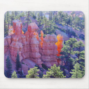 Tapis De Souris Rougeoyer de canyon de Bryce