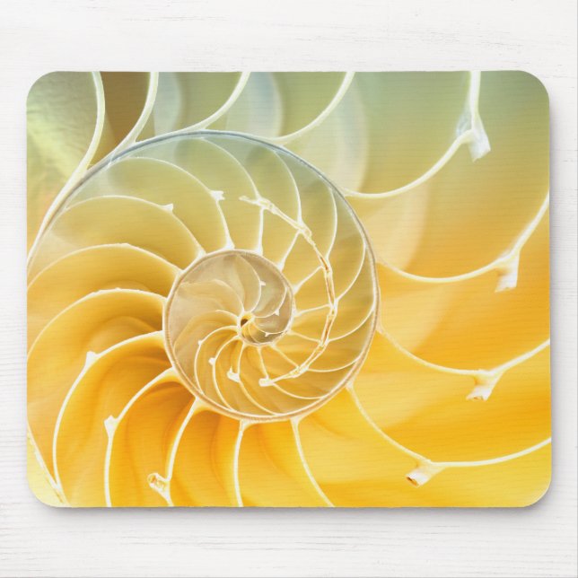 Tapis De Souris rouleau (Devant)