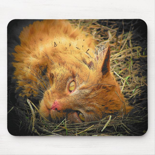 Tapis De Souris Roulez dans le foin (Devant)