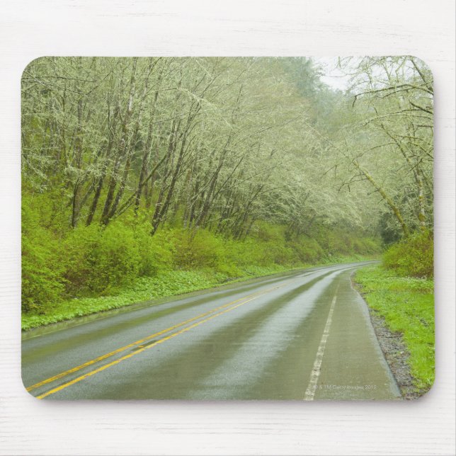 Tapis De Souris Route à distance par la forêt (Devant)