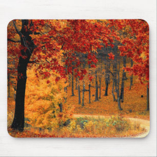 Tapis De Souris Route d'automne