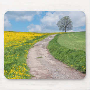 Tapis De Souris Route de terre et arbre