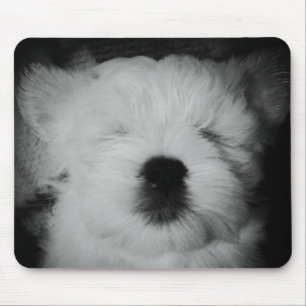 Tapis De Souris Rowdy le chiot de Maltipoo