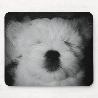 Tapis De Souris Rowdy le chiot de Maltipoo