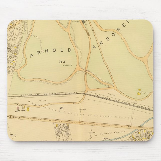 Tapis De Souris Roxbury Ouest, Massachusetts 4 (Devant)