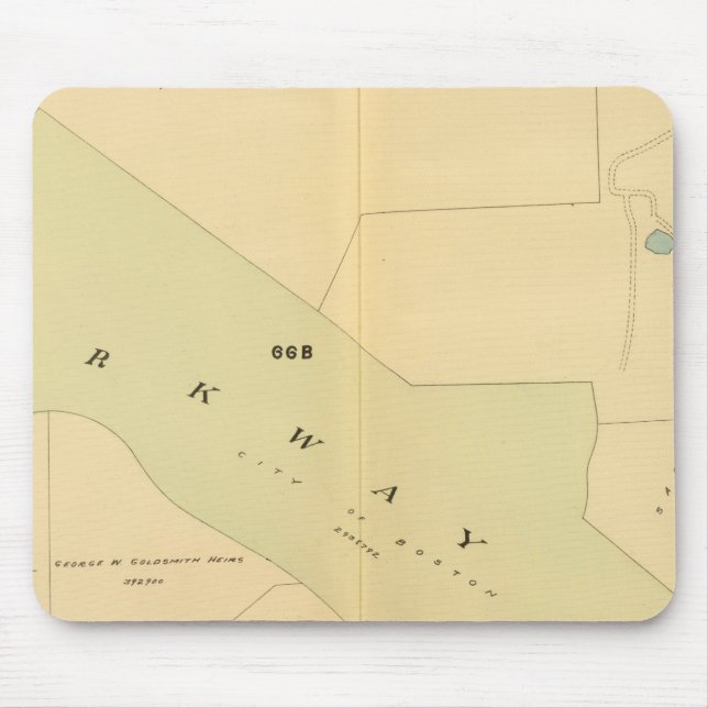 Tapis De Souris Roxbury Ouest, Massachusetts 4 (Devant)