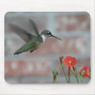 Tapis De Souris Rubis-gorge et gloire de matin Mousepad