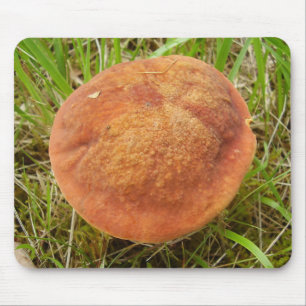 Tapis De Souris Ruby Bolete Mat de la souris de champignons