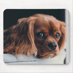 Tapis De Souris Ruby Cavalier Le Roi Charles Spaniel Chien Chien