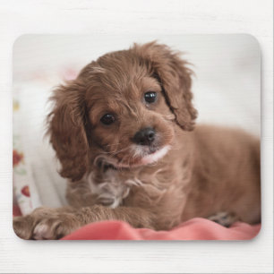 Tapis De Souris Ruby Cavapoo Chien chiot