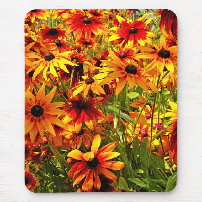 TAPIS DE SOURIS RUDBECKIA FLOWERS   (Devant)