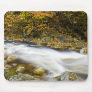 Tapis De Souris Ruisseau Rugissant en automne dans le Green de Ver