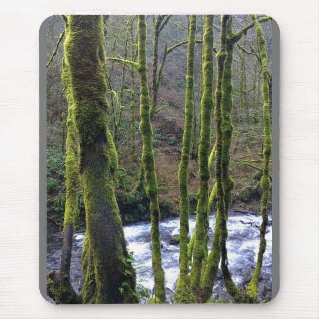 Tapis De Souris Runoff from Bridal Veil Falls (Devant)