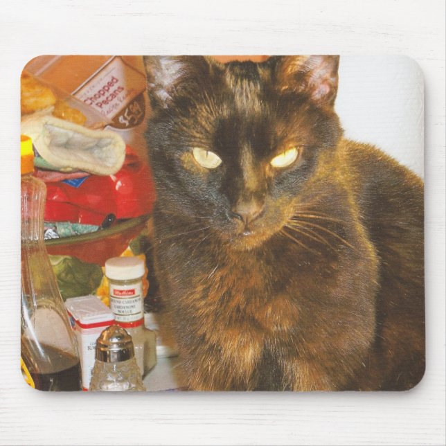 Tapis De Souris Sa Majesté Sammy (Devant)