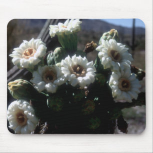 Tapis De Souris Saguaro Blossoms Mousepad