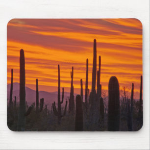Tapis De Souris Saguaro, coucher de soleil, Parc national de Sagua