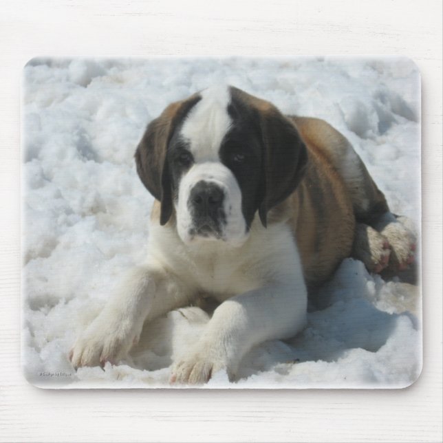 Tapis De Souris Saint_mousepad (Devant)