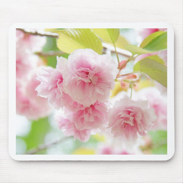 Tapis De Souris sakura (Devant)