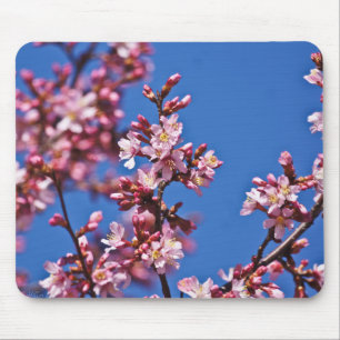 Tapis De Souris Sakura Cerisiers en Fleur Touchant le Bleu