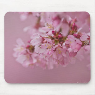 Tapis De Souris Sakura Cherry Blossoms rose pâle Réflexions