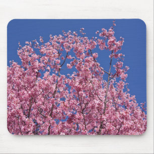 Tapis De Souris Sakura Cherry Fleurit Dans Le Bleu