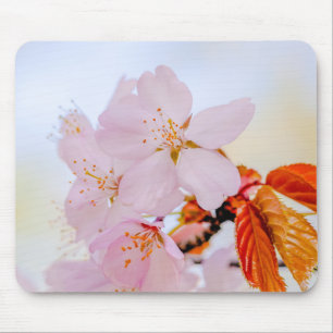 Tapis De Souris Sakura - Fleur de cerisier japonaise