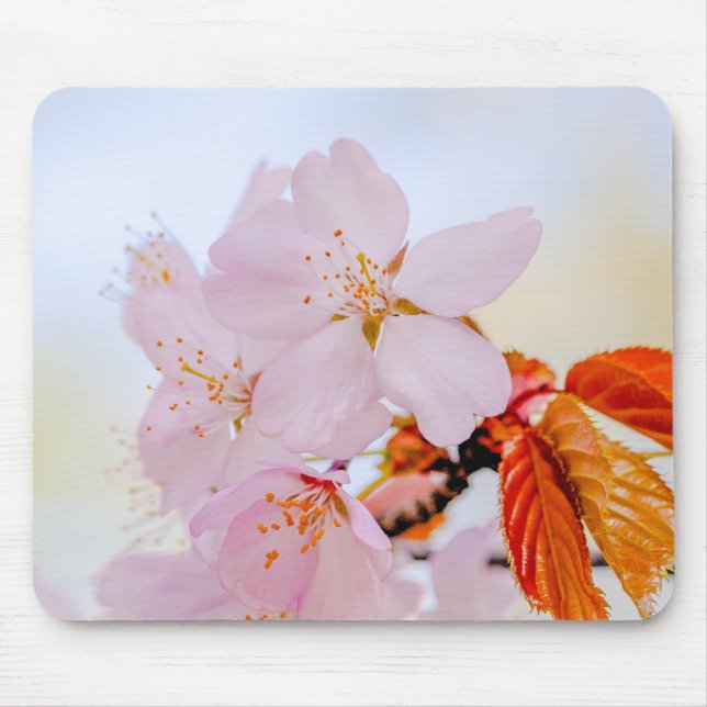 Tapis De Souris Sakura - Fleur de cerisier japonaise (Devant)