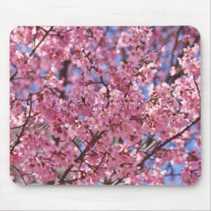 Tapis De Souris Sakura Pink Cherry Blossom Sky
