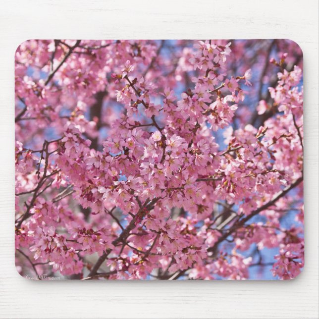 Tapis De Souris Sakura Pink Cherry Blossom Sky (Devant)