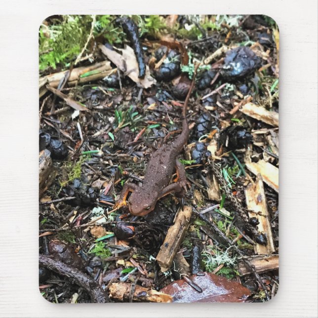 Tapis De Souris Salamandre dans la forêt, Washington (Devant)