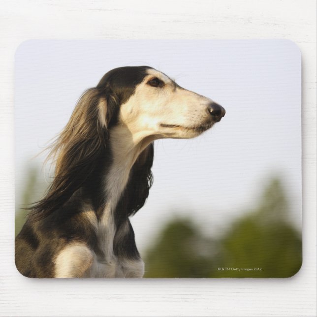 Tapis De Souris Saluki 2 (Devant)